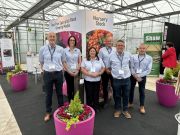  Sinclair Team at Four Oaks